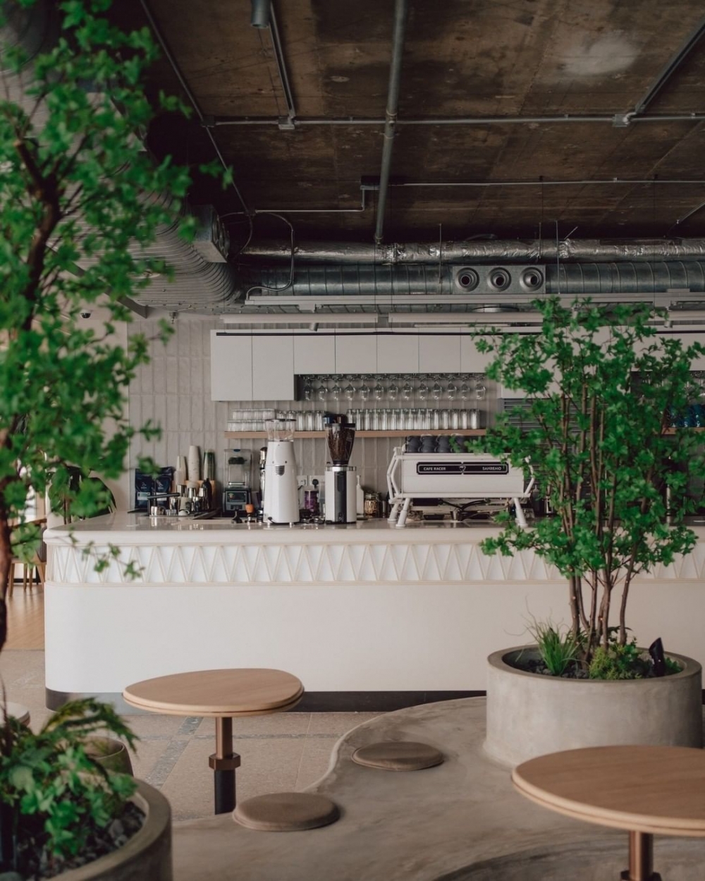 幾盆大型植物溫暖了冰冷的水泥感。