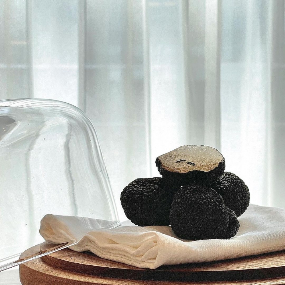 義大利阿爾巴黑松露