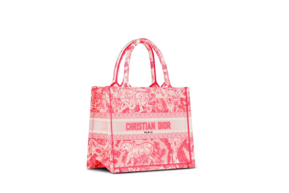 Dior Small Book Tote-Small