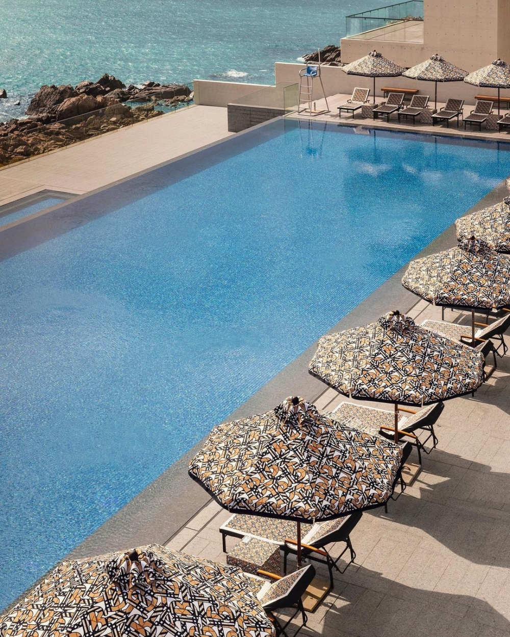 泳池區在白天燦爛的陽光下,產生了一種壯麗氛圍。