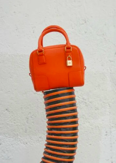 Amazona 16 Square Bag廣告形象照片。