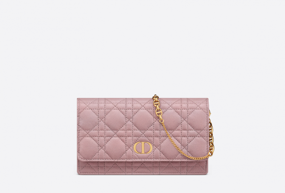 又或是輕便的Dior Caro Pouch。