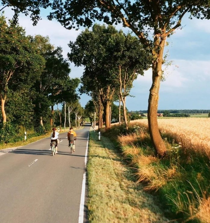 為我們展現了不同的生活型態。