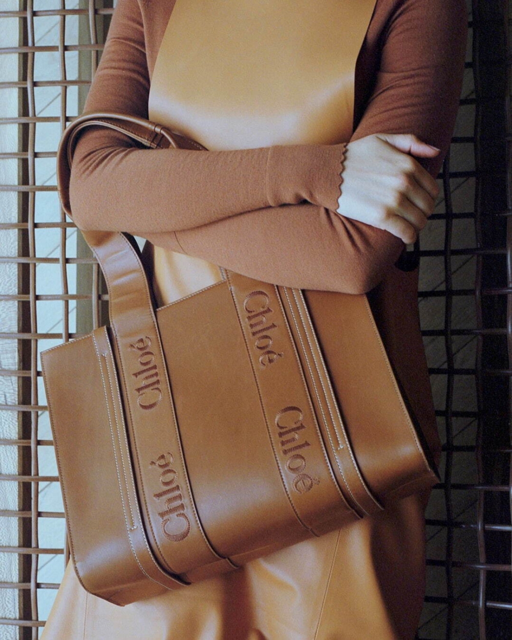 模特兒演繹Medium Woody Tote Bag。