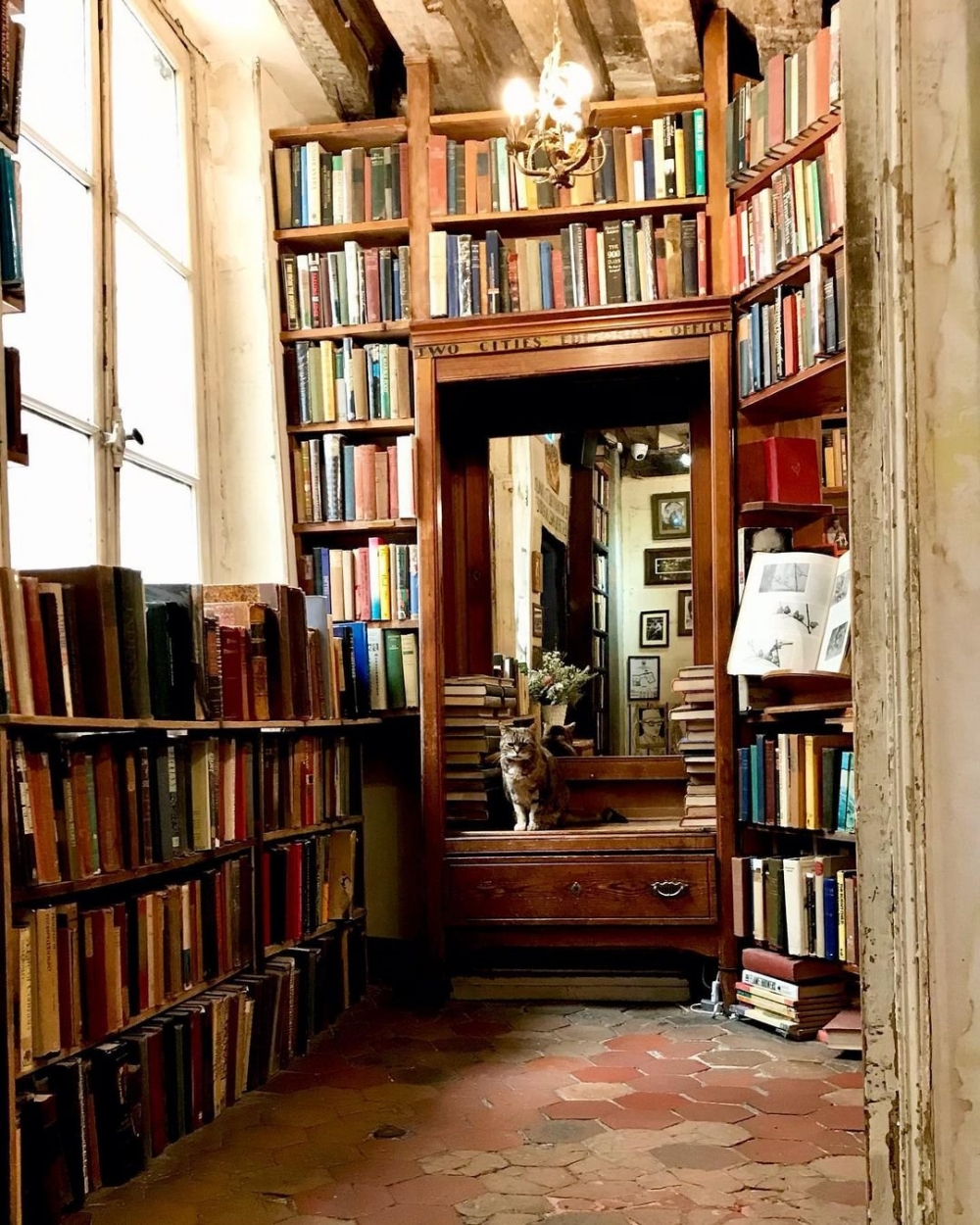 下次你也能前往感受它的氛圍。