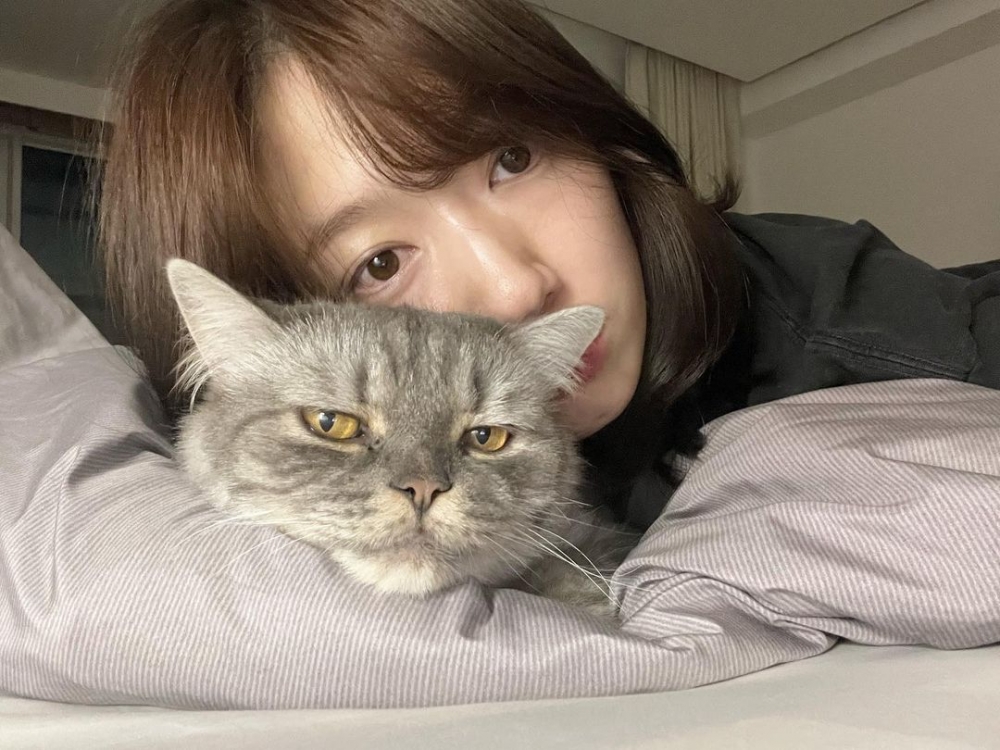 朴信惠產後依舊低調,只是偶然發放生活照。