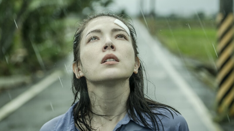 我們何時才能走過傷痛呢？