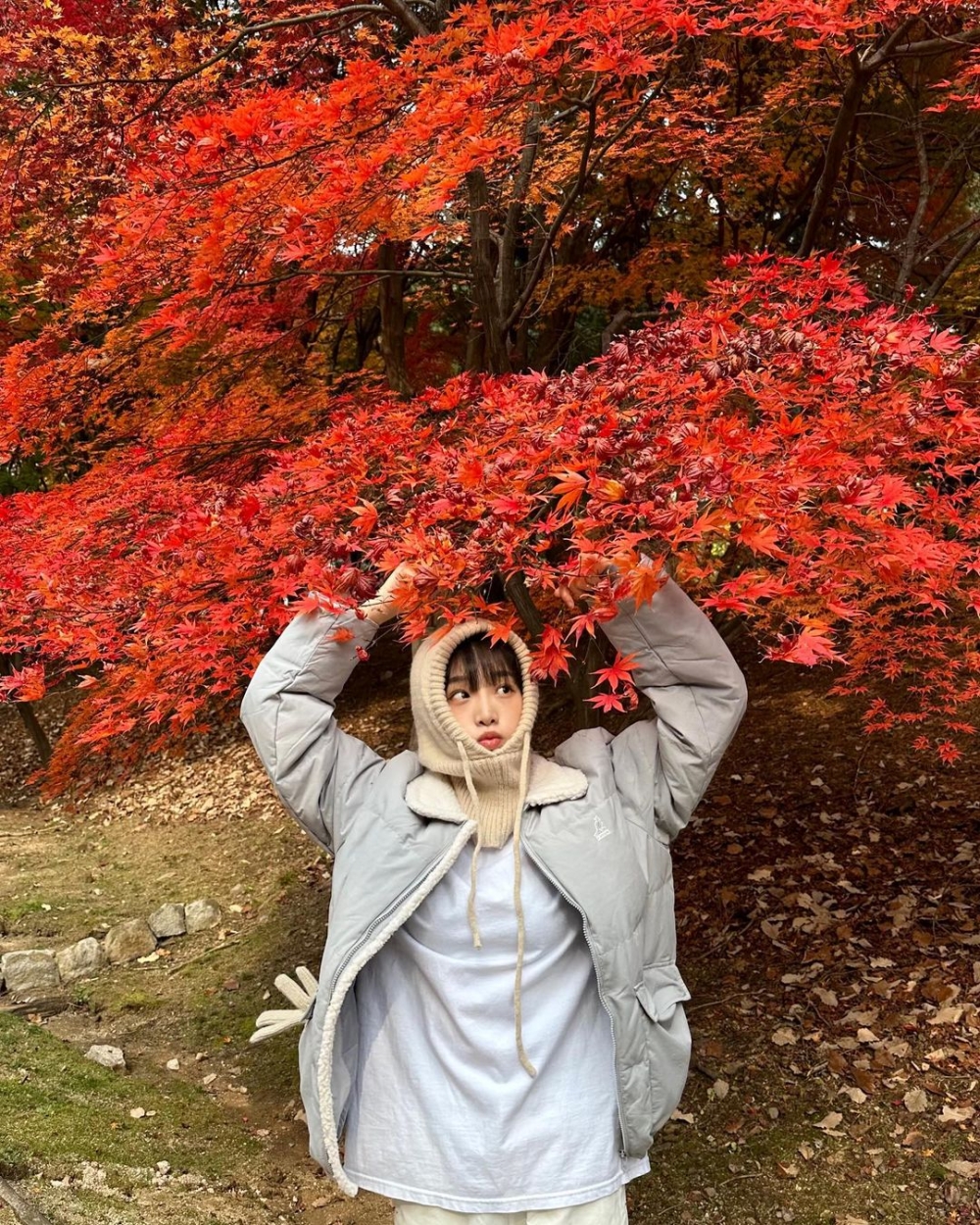 滑雪氣氛的淺色絨面裝飾