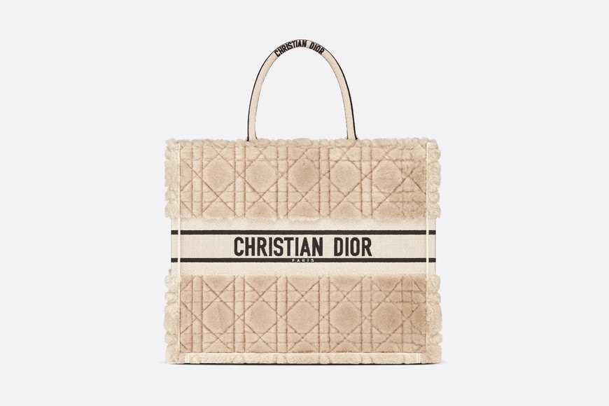 Dior BOOK TOTE