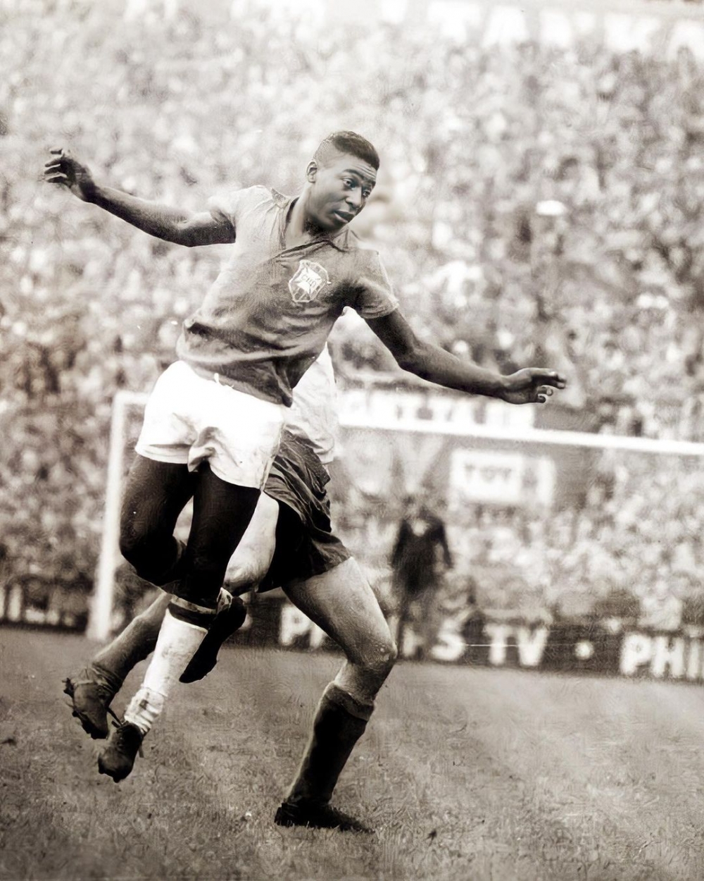 自17歲嶄露頭角