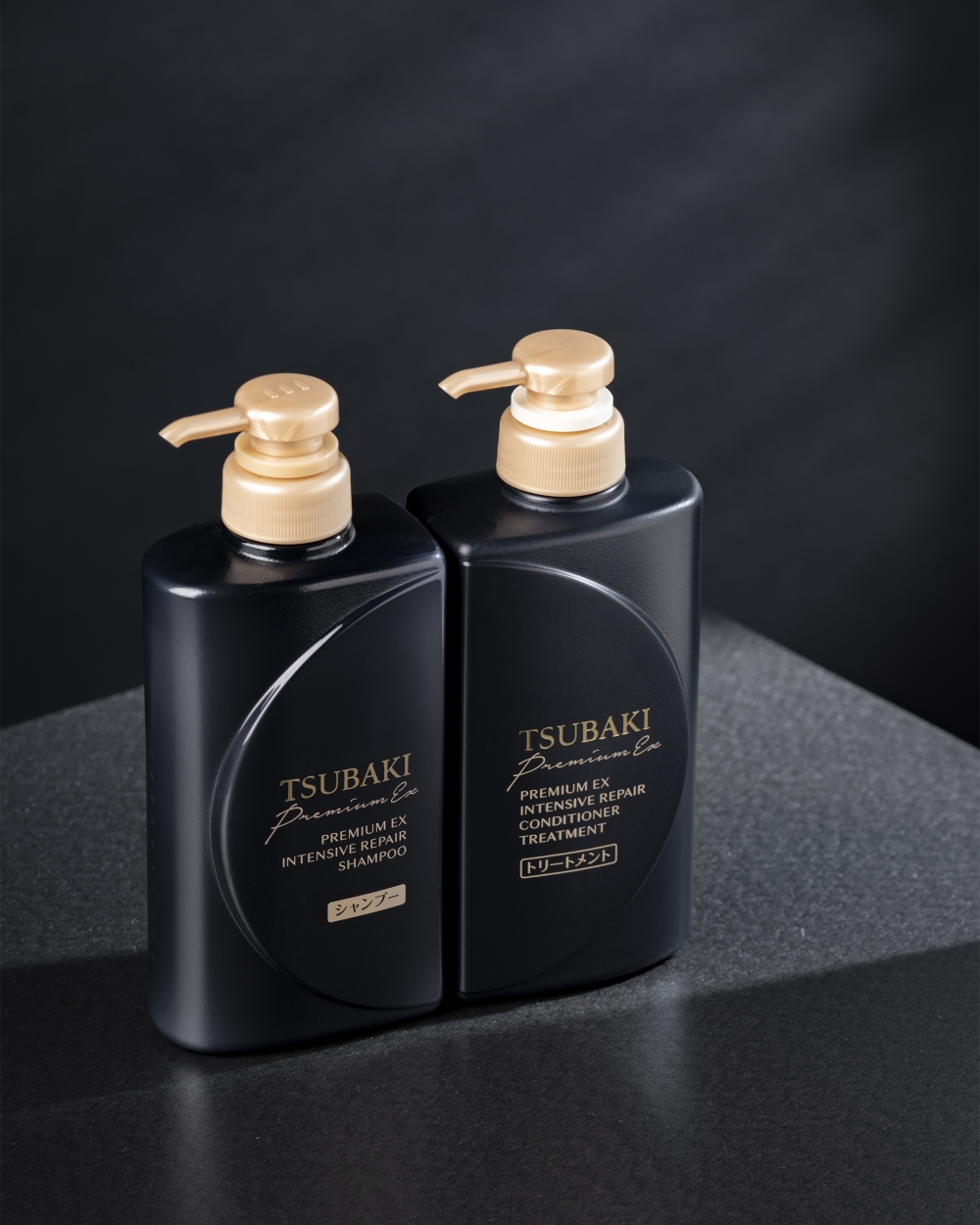 年度新登場！為反覆染燙、嚴重受損的髮絲而設。