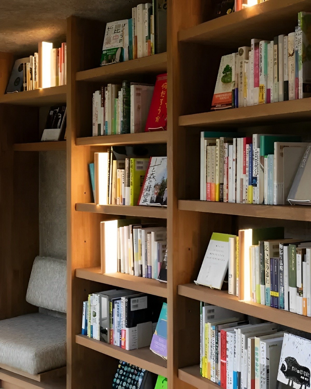 圖書館內有著豐富的藏書。