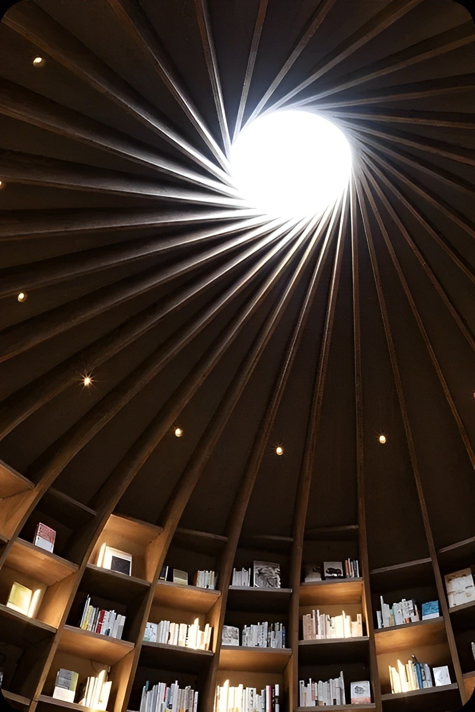 挑高天井的設計讓陽光緩緩灑落。