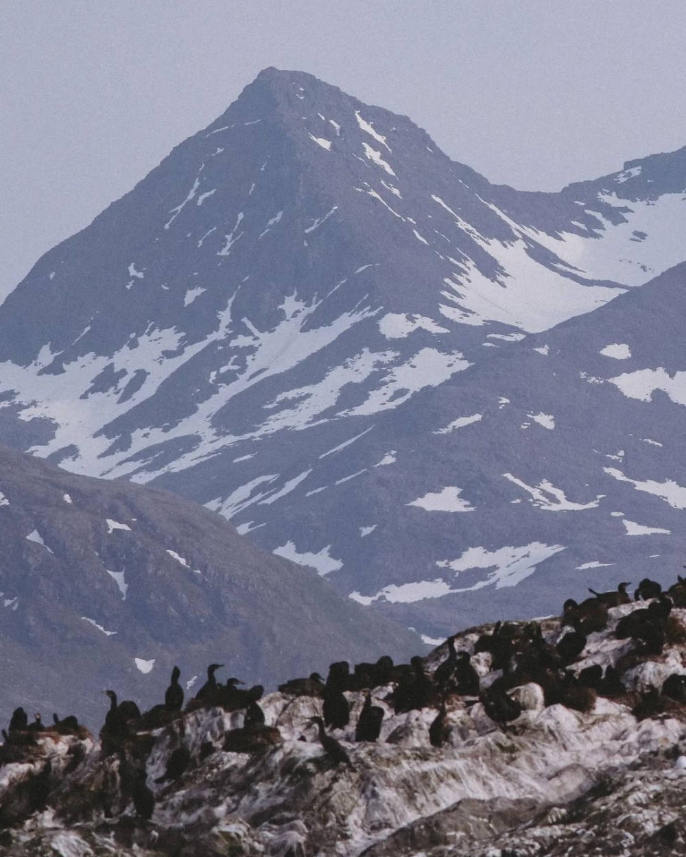 彷彿是帶有故事性的影像創作