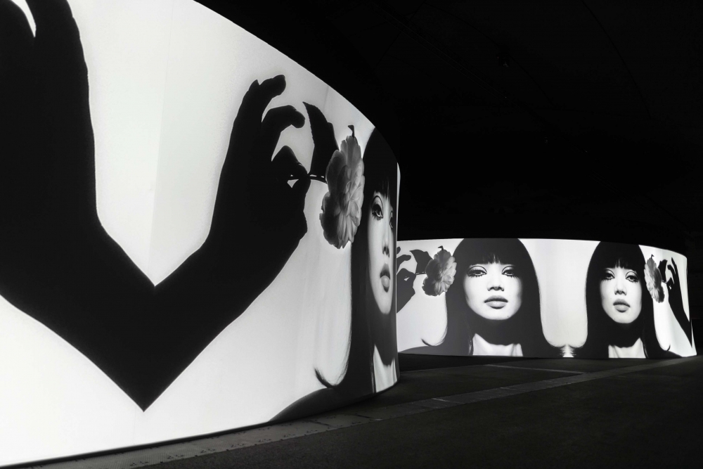 隨處都可見到小松菜奈的影片