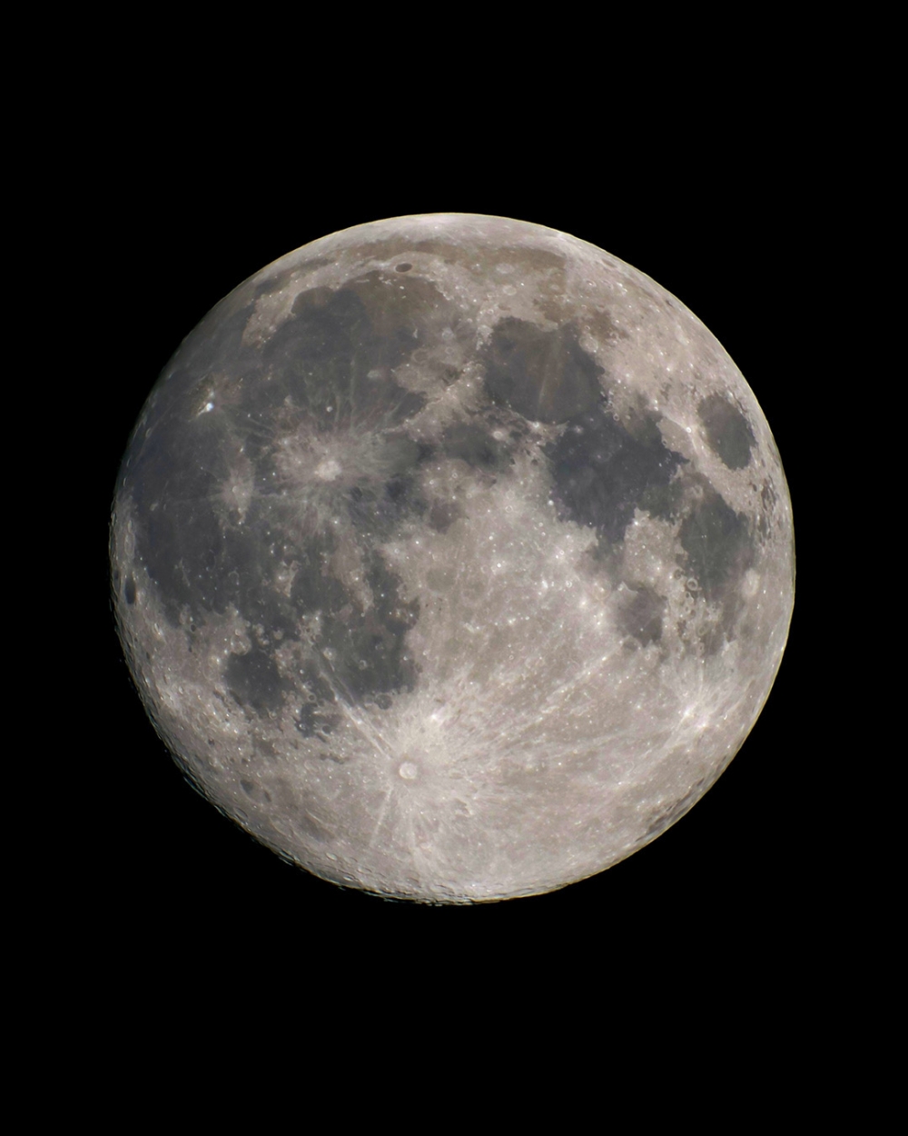 你可以在這四座城市中購買到它。