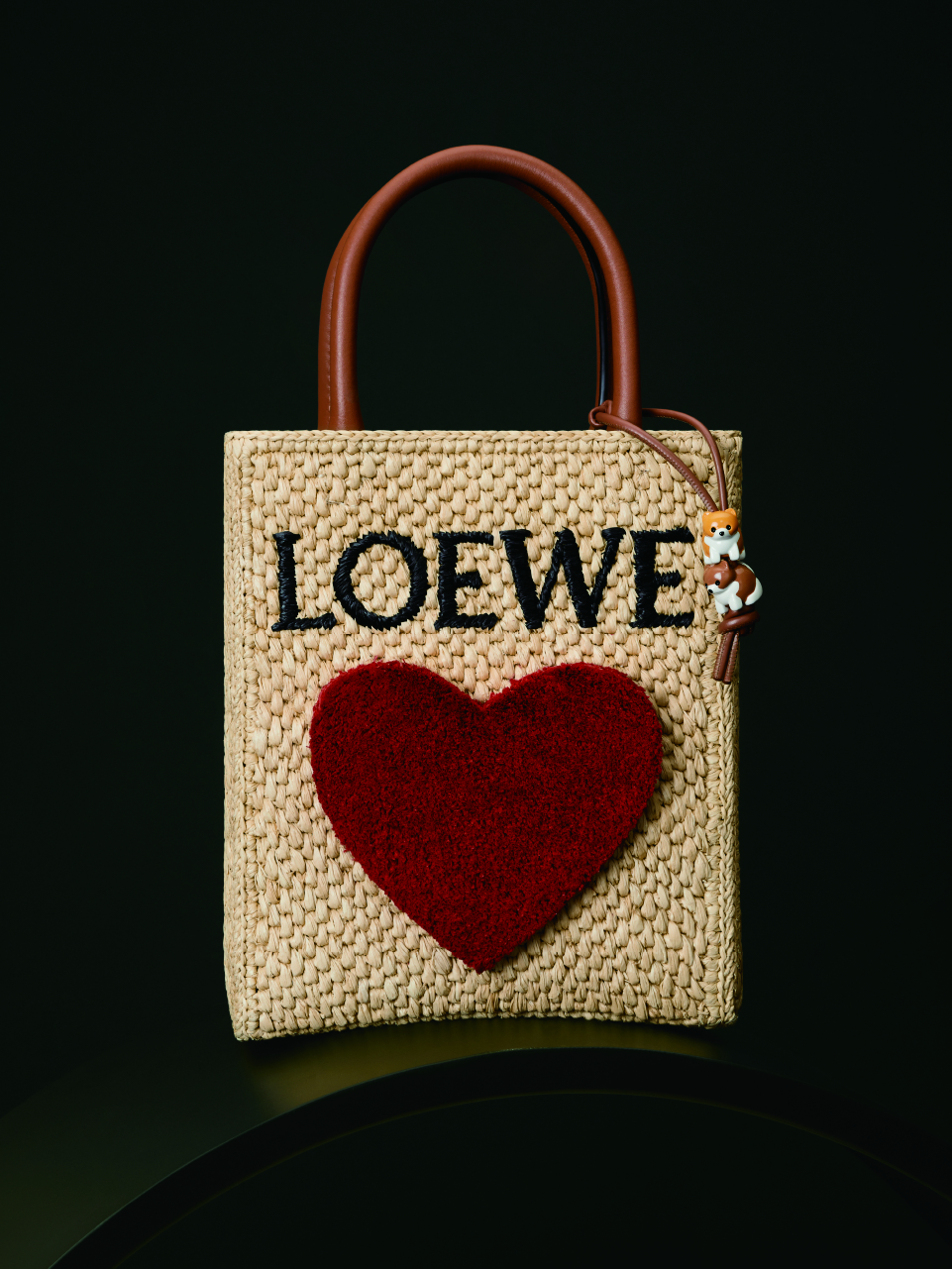 點綴黑色刺繡 LOEWE 標誌