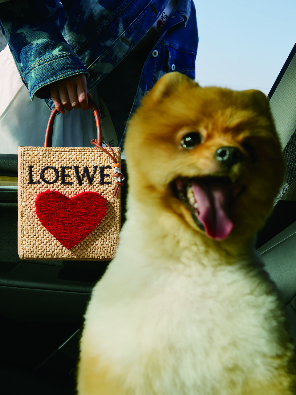 LOEWE 520系列已於LOEWE專門店及網站發售