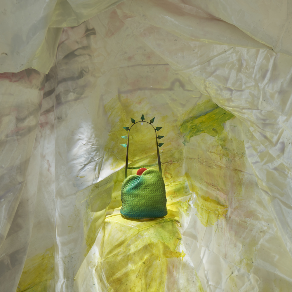 Bottega Veneta “My Dear Prairies” 全球限量3件