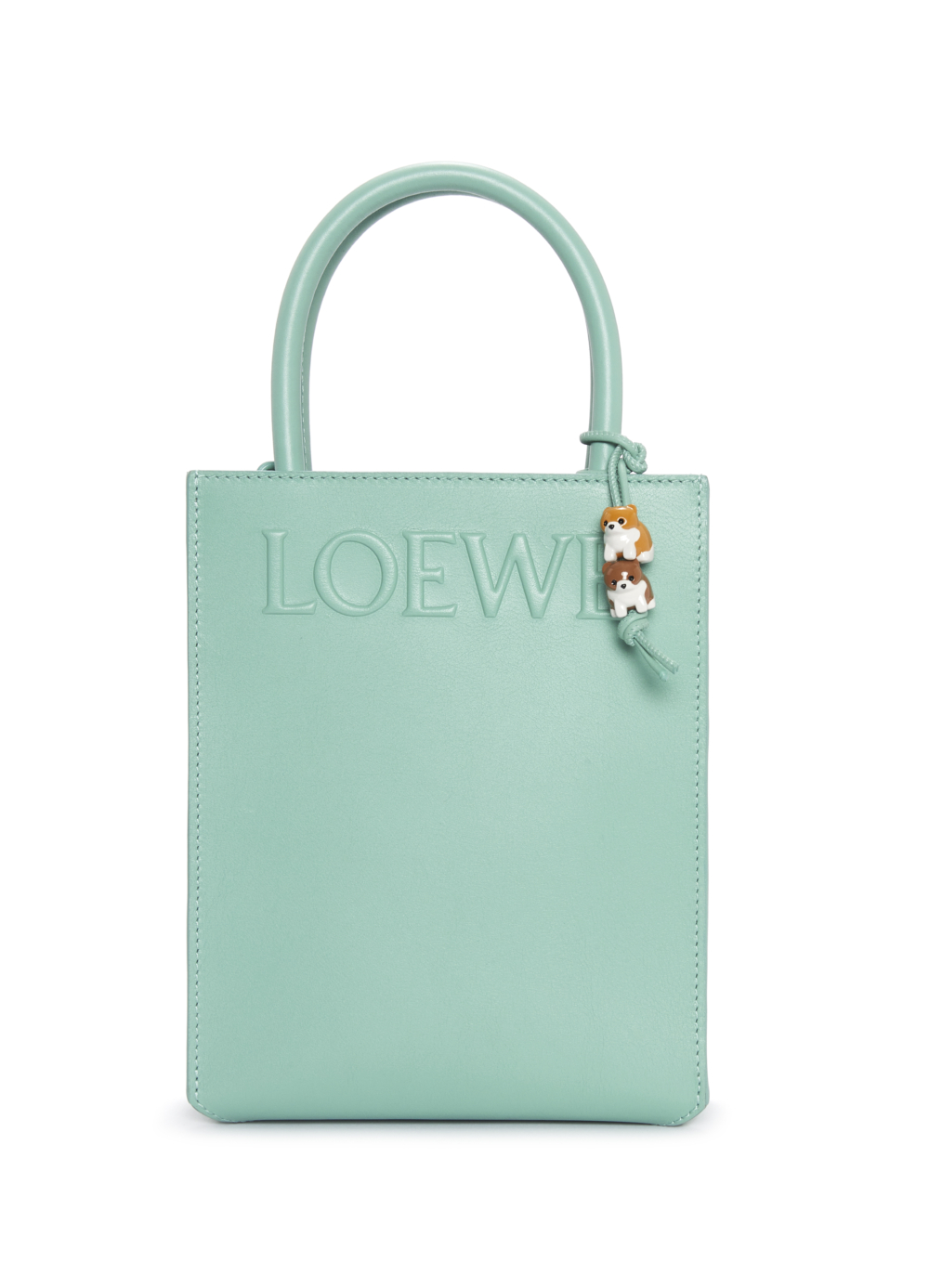 附有提手以及使用可拆卸肩帶