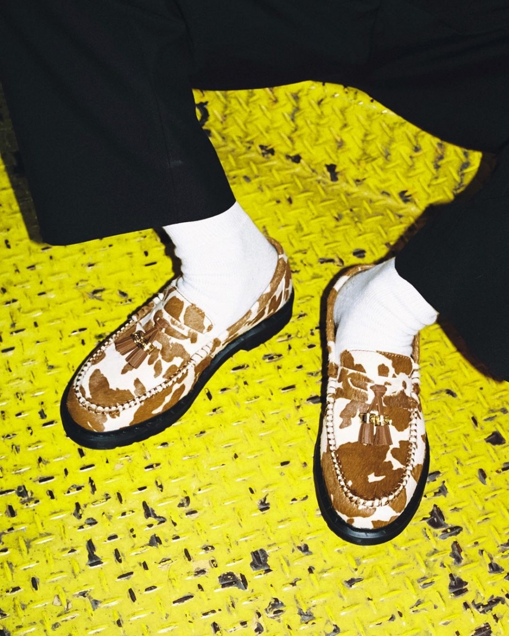 讓我們可以看見本次的設計。