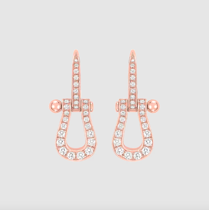 Force 10 Earrings。