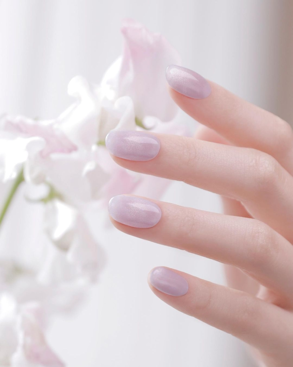 為指尖捎來迷人的優雅調性,一圓期待已久的幸福夢