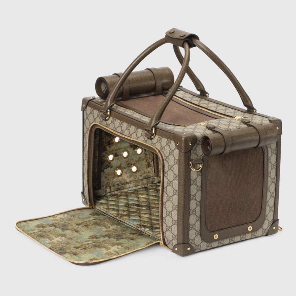 從袋子的4個方向都能查看寵物的情況