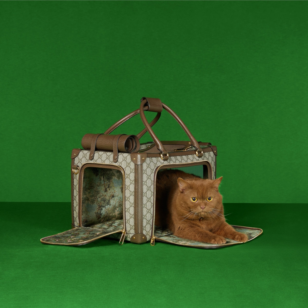 Gucci 織帶GG小型寵物袋