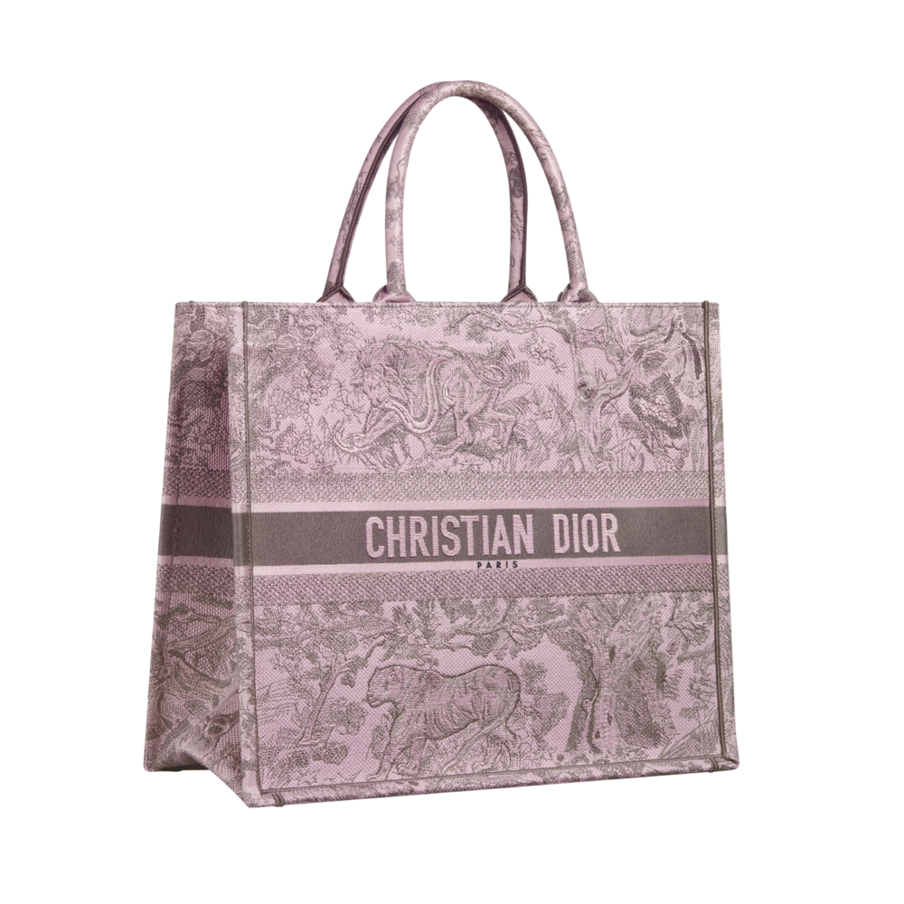 Large Dior Book Tote Bag。