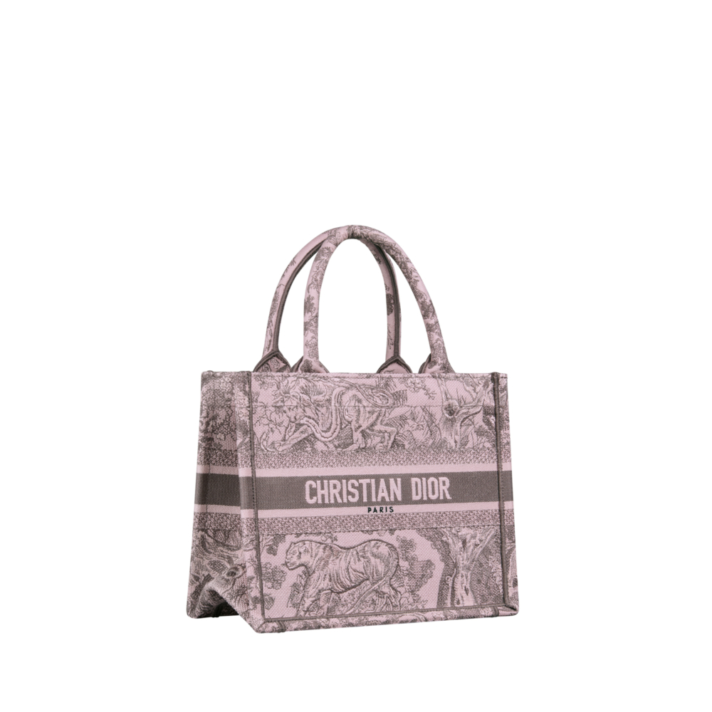 Small Dior Book Tote Bag。