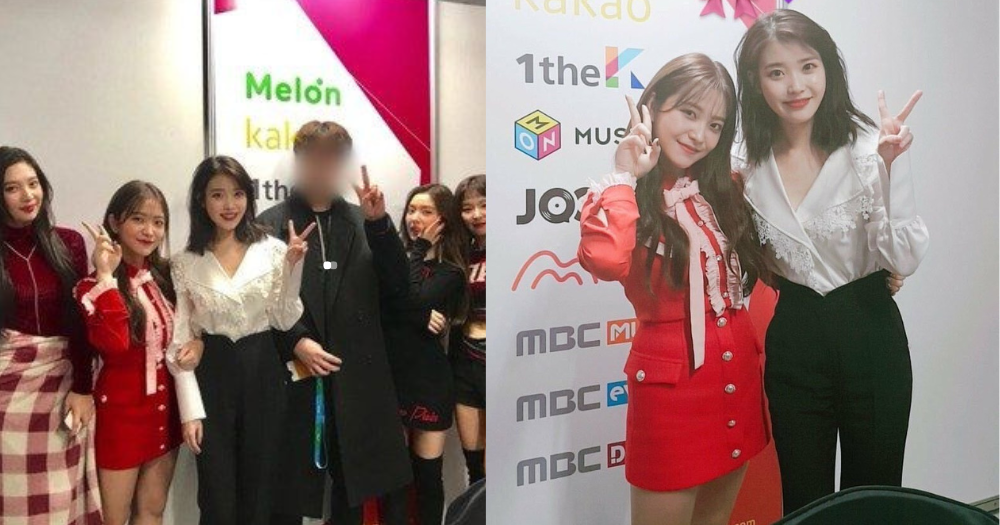 是IU的狂熱粉絲