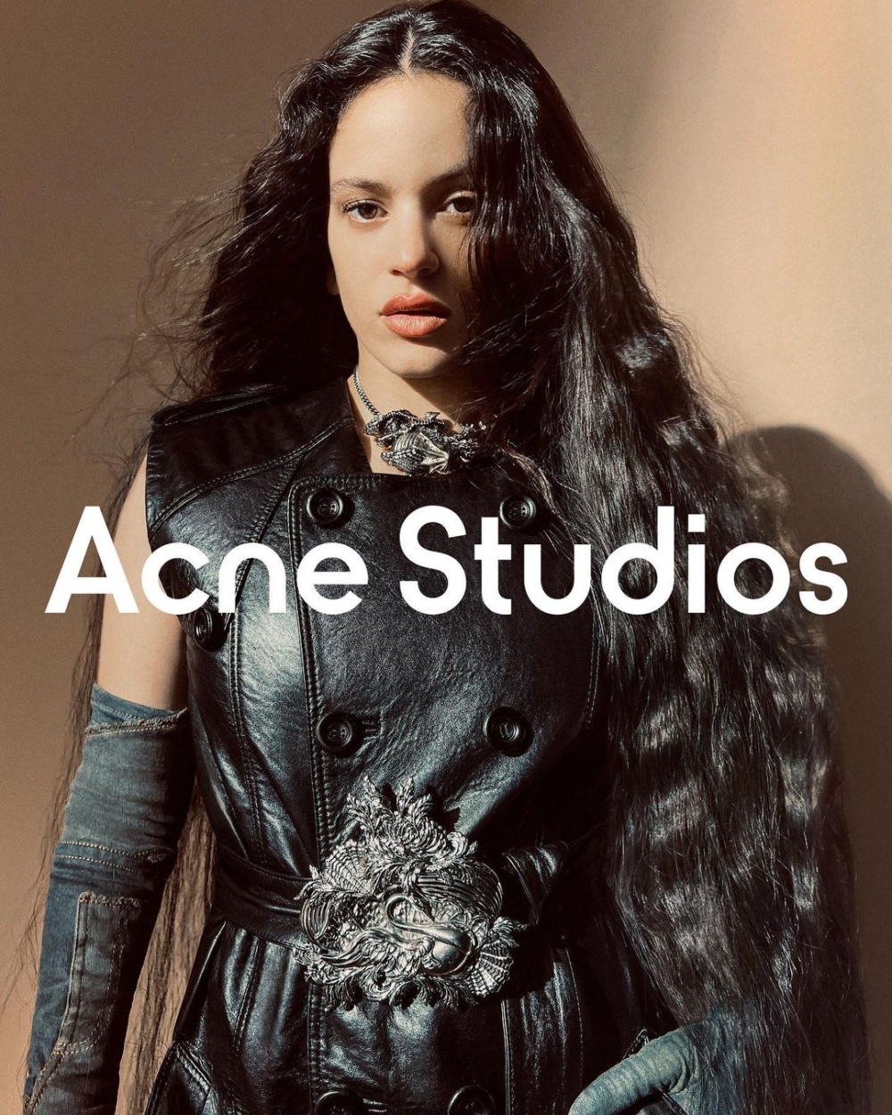 曾替Acne Studios拍攝形象廣告