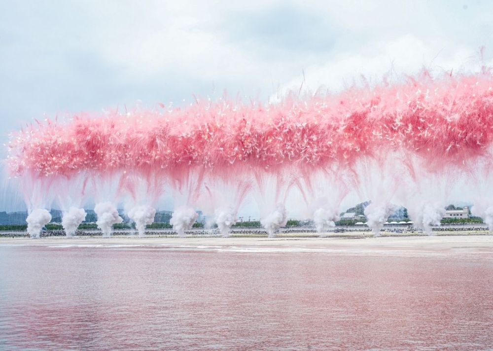 《櫻花滿天的日子》。