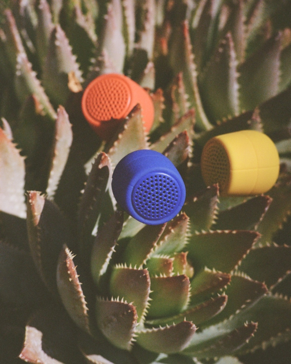 色彩繽紛的藍牙揚聲器