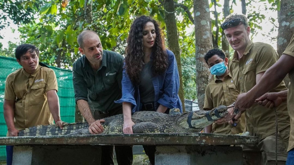 探險家Ella Al-Shamahi經常跟著攝影團隊探索叢林以及生態保育