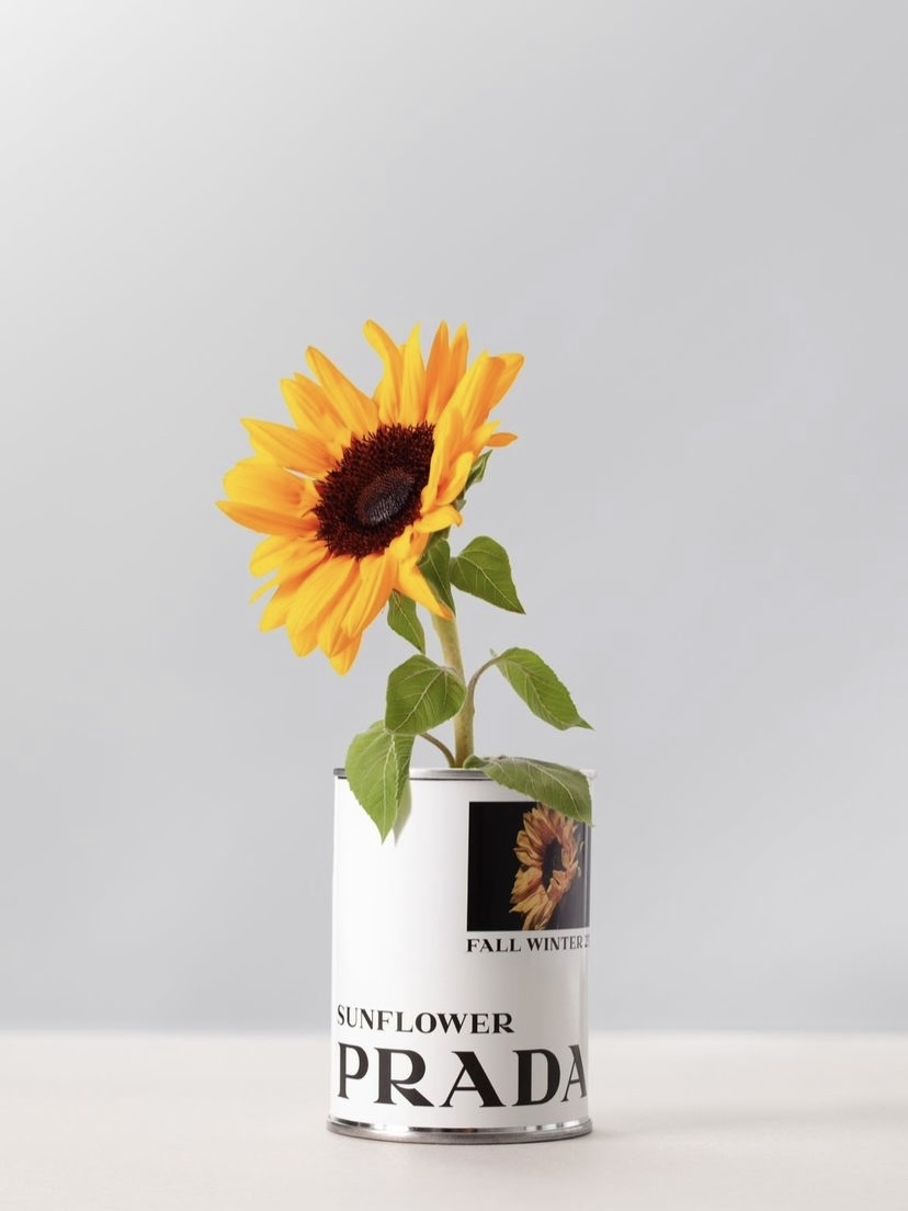 Prada「花卉種子罐頭」