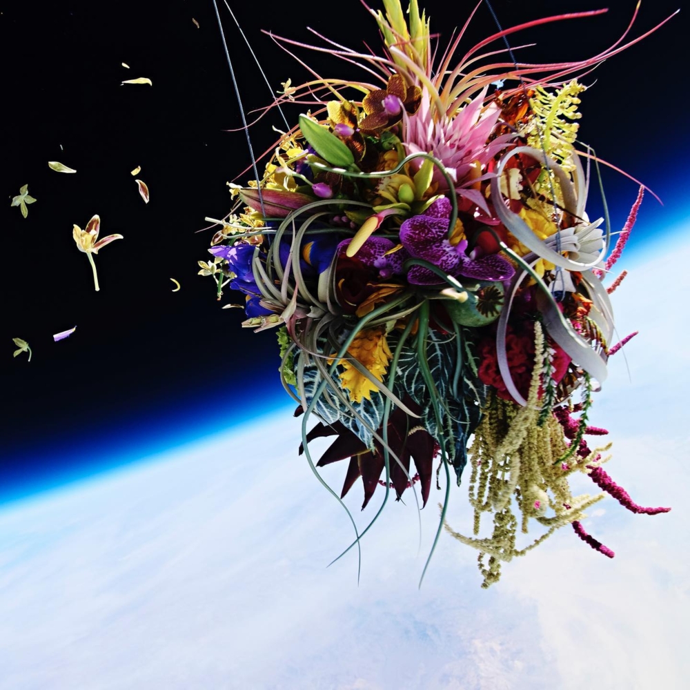 Azuma Makoto將植物藝術雕塑送上太空