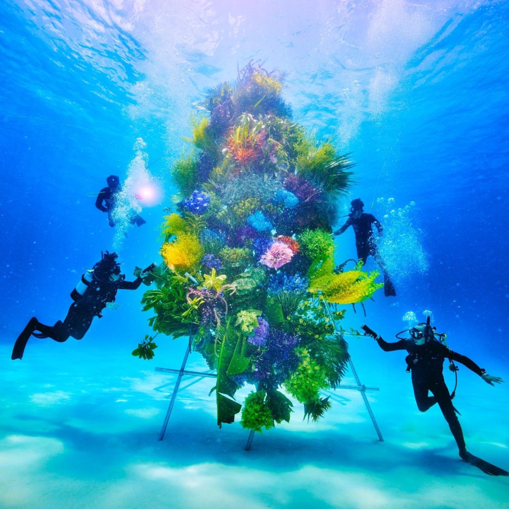 海底植物雕塑作品Botanical Sculpture × In Bloom project
