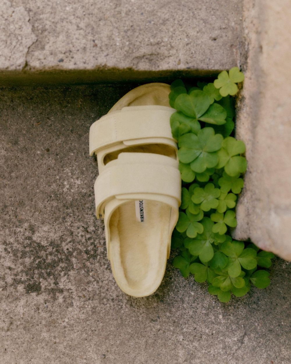 本次的設計中多了幾分愜意氛圍。