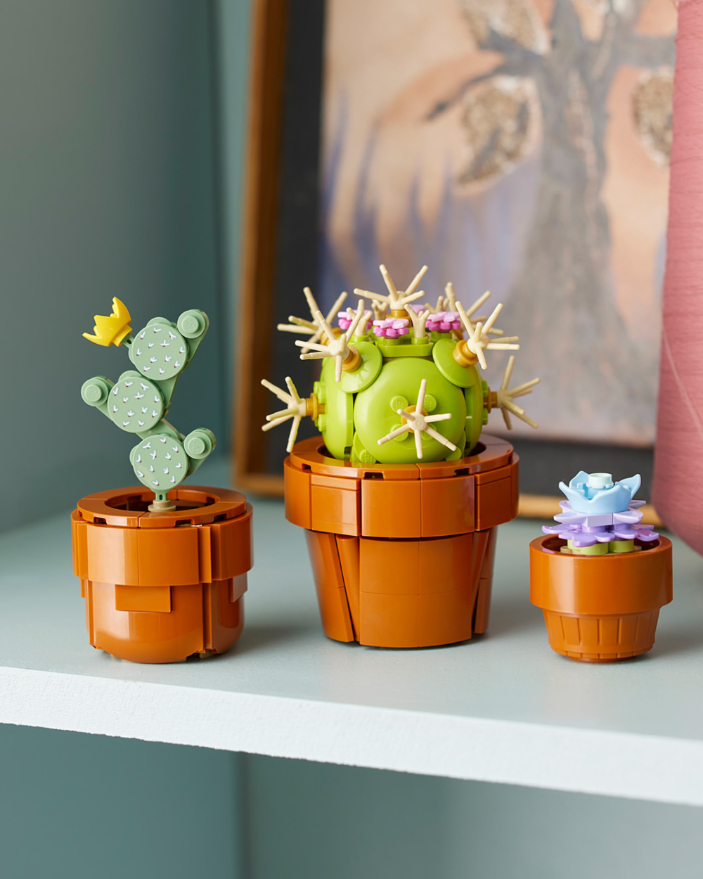 多個可愛造型的盆栽。