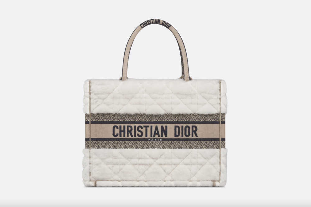 Medium Dior Book Tote。