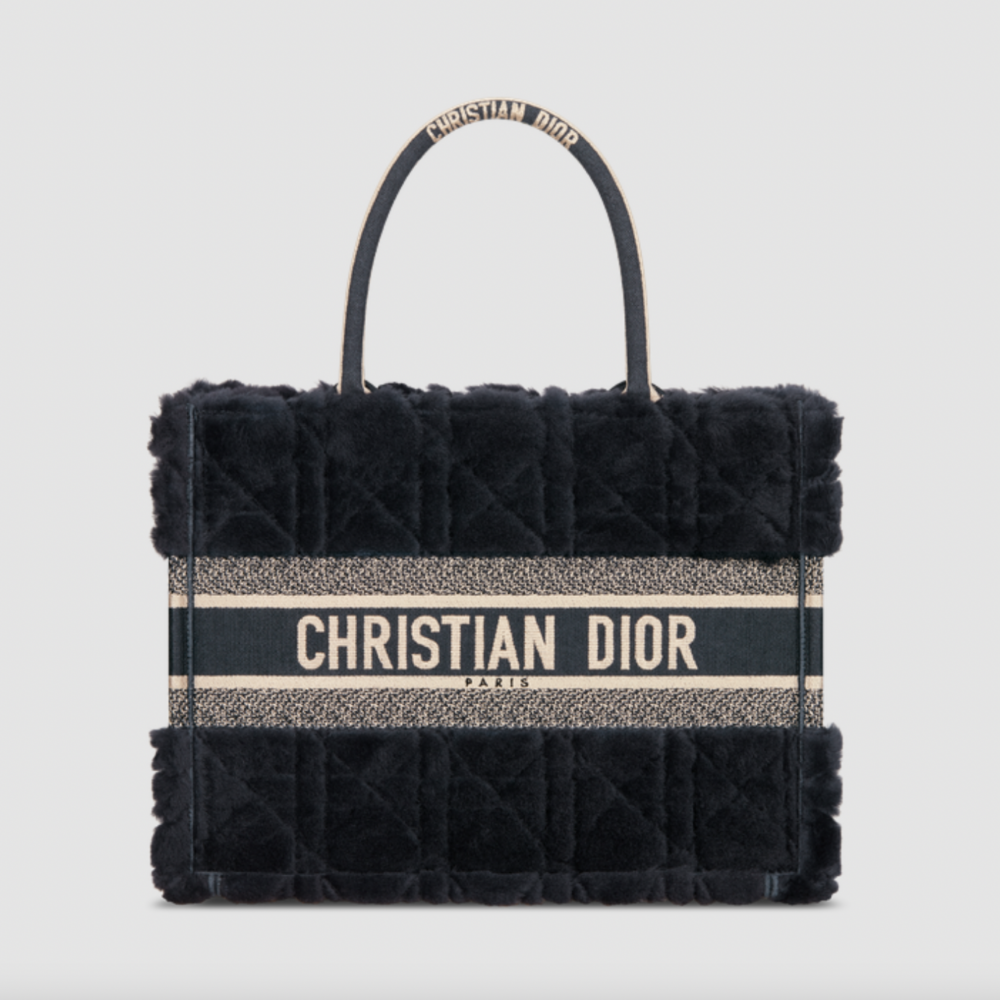 Medium Dior Book Tote。