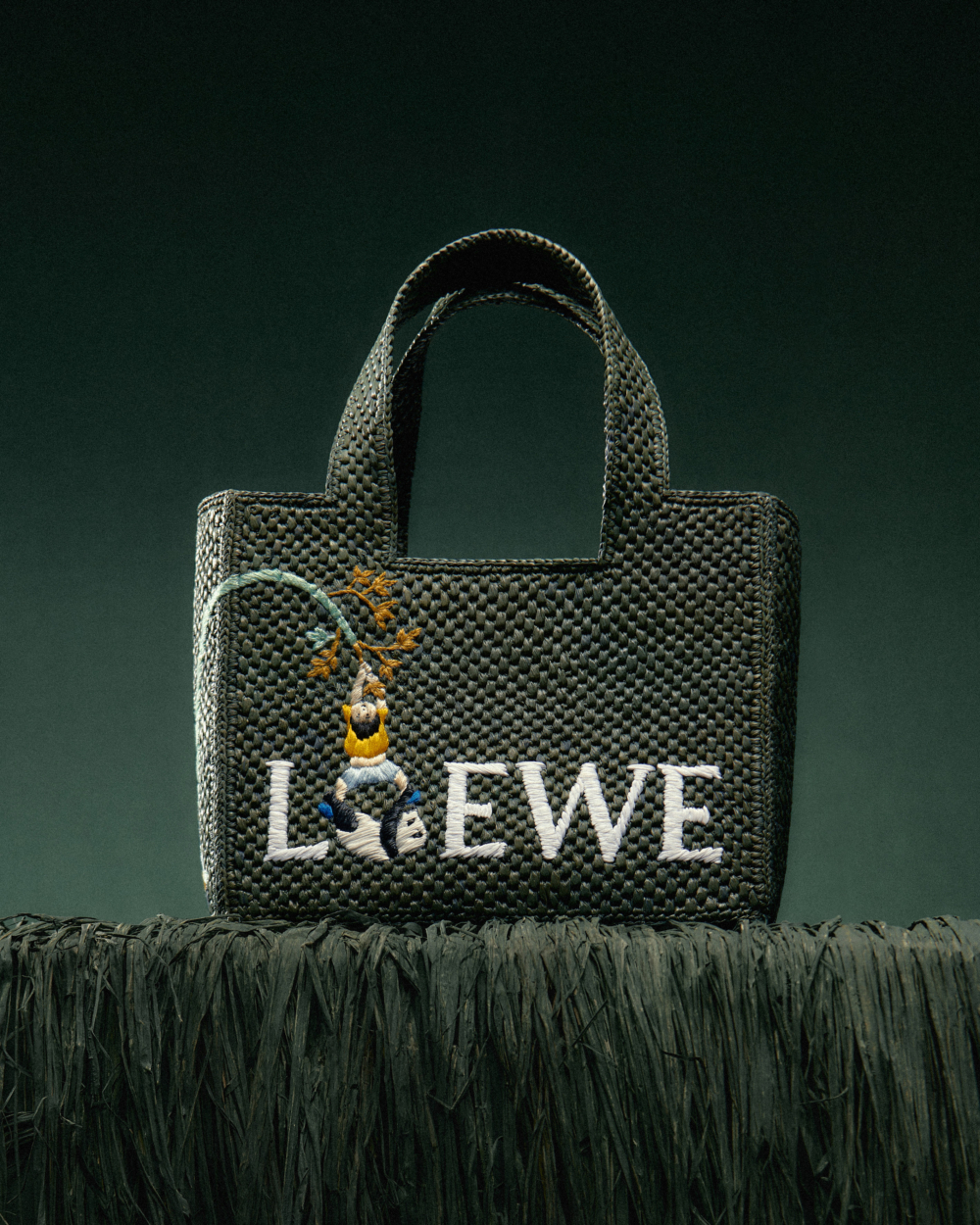 LOEWE × Suna Fujita。