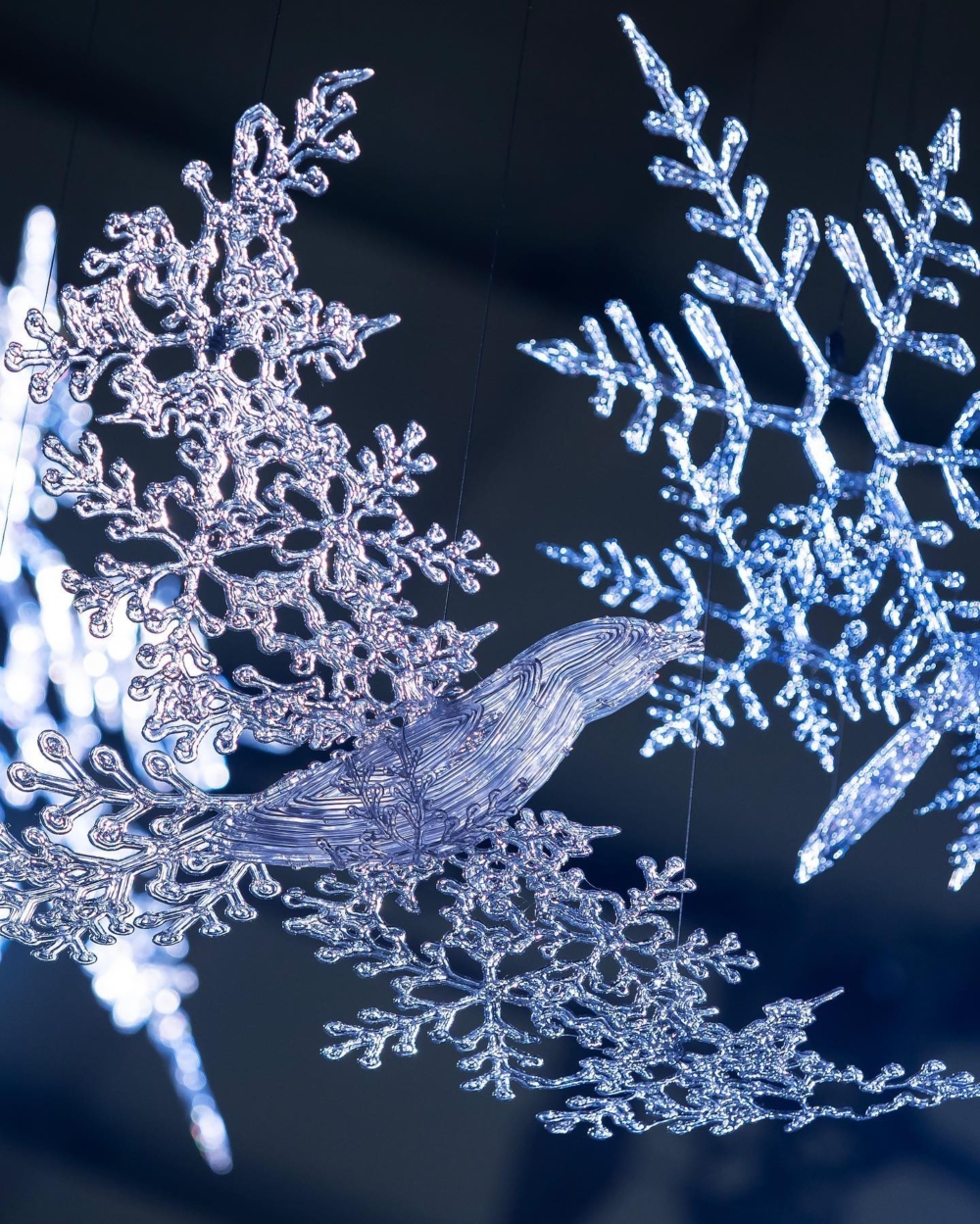 奇幻的生物和雪花裝飾