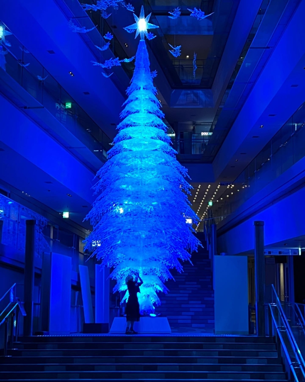 聖誕樹根據本次活動特別創作的歌曲而改變顏色,藍、青、紫、粉紅等五彩的光影