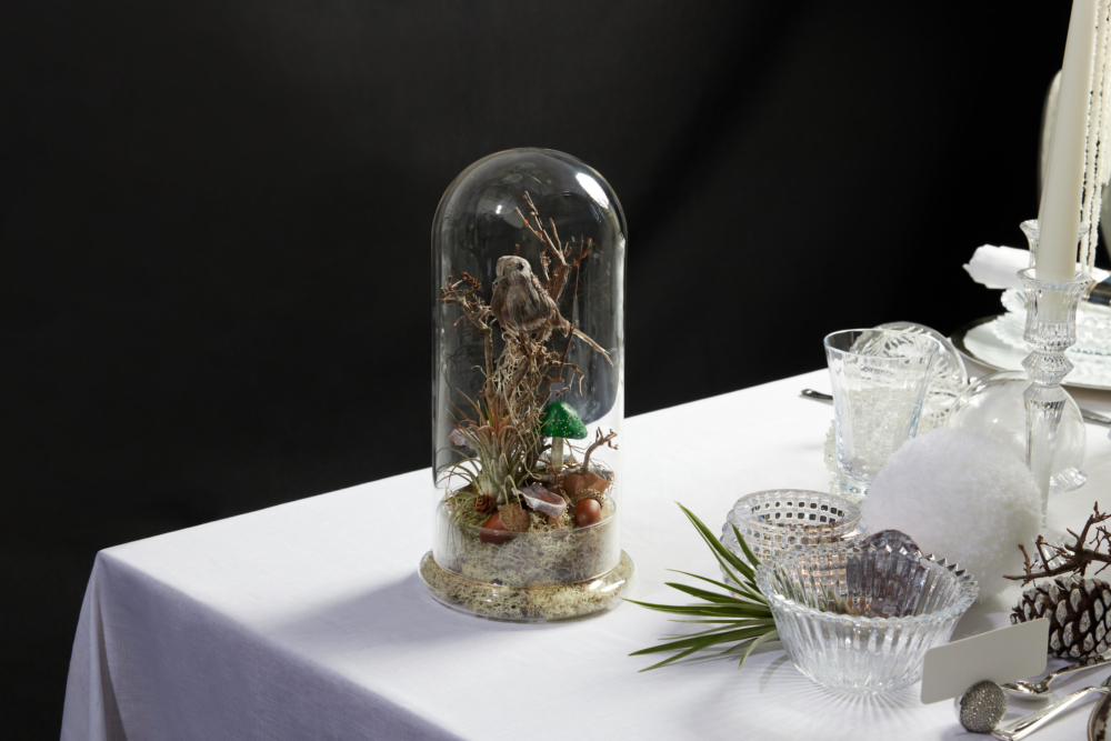 多款作品等你來挑選。