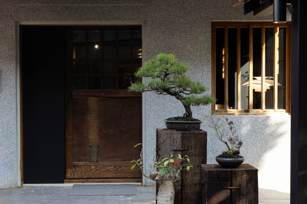 在庭院中能欣賞到的裏山日本黑松樹。