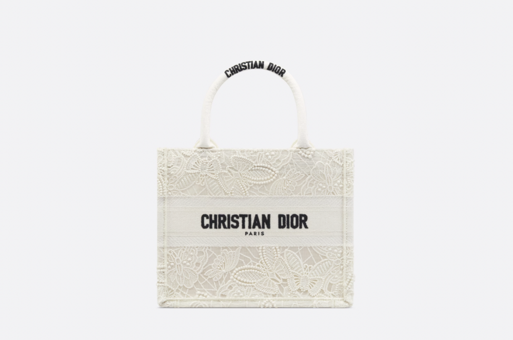 Small Dior Book Tote。