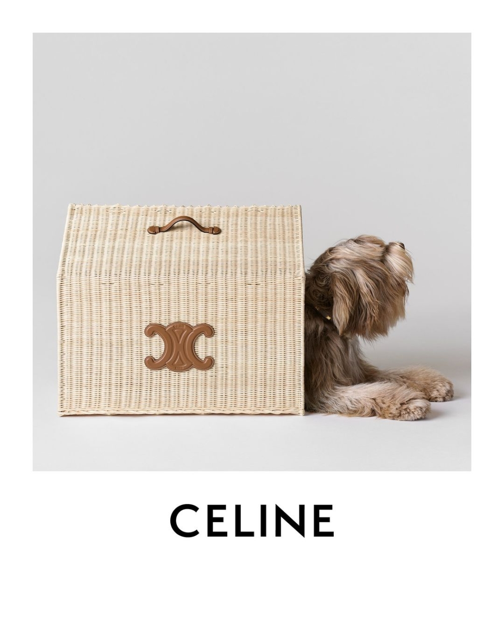 Maison CELINE寵物系列全新單品。